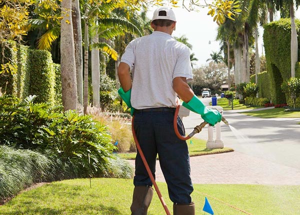 About Freeport KS Pest Control
